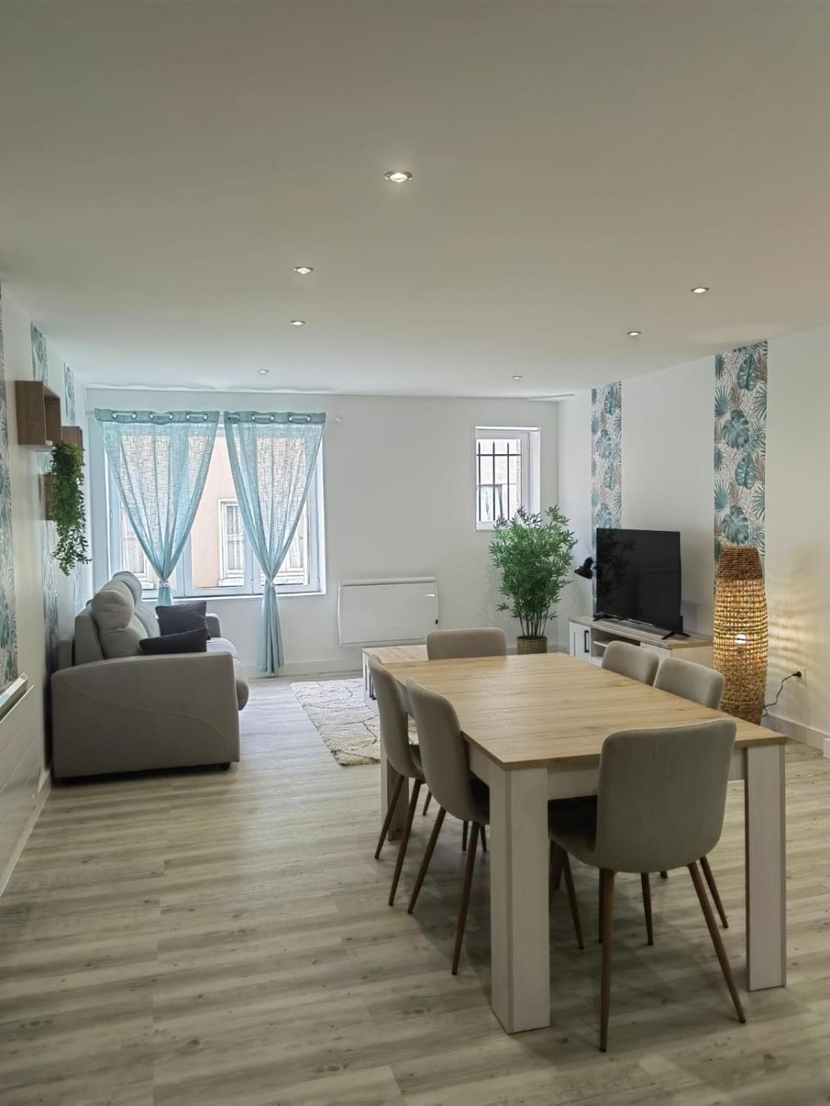 Bel Appartement Bord Du Rhone 발랑스 외부 사진